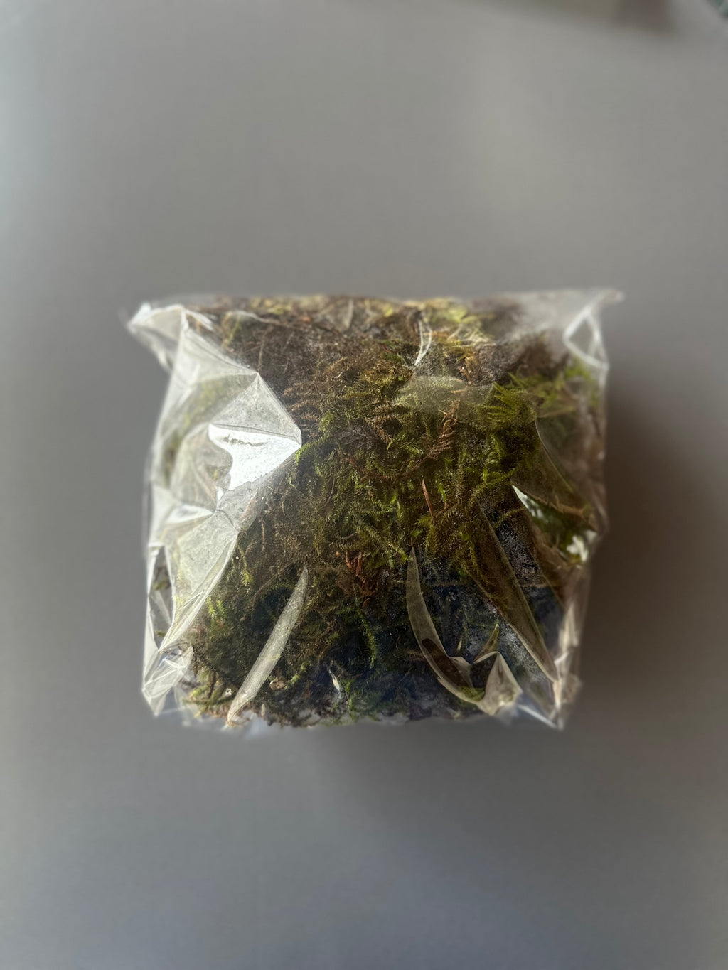 Moss & Twigs Wreath Kit