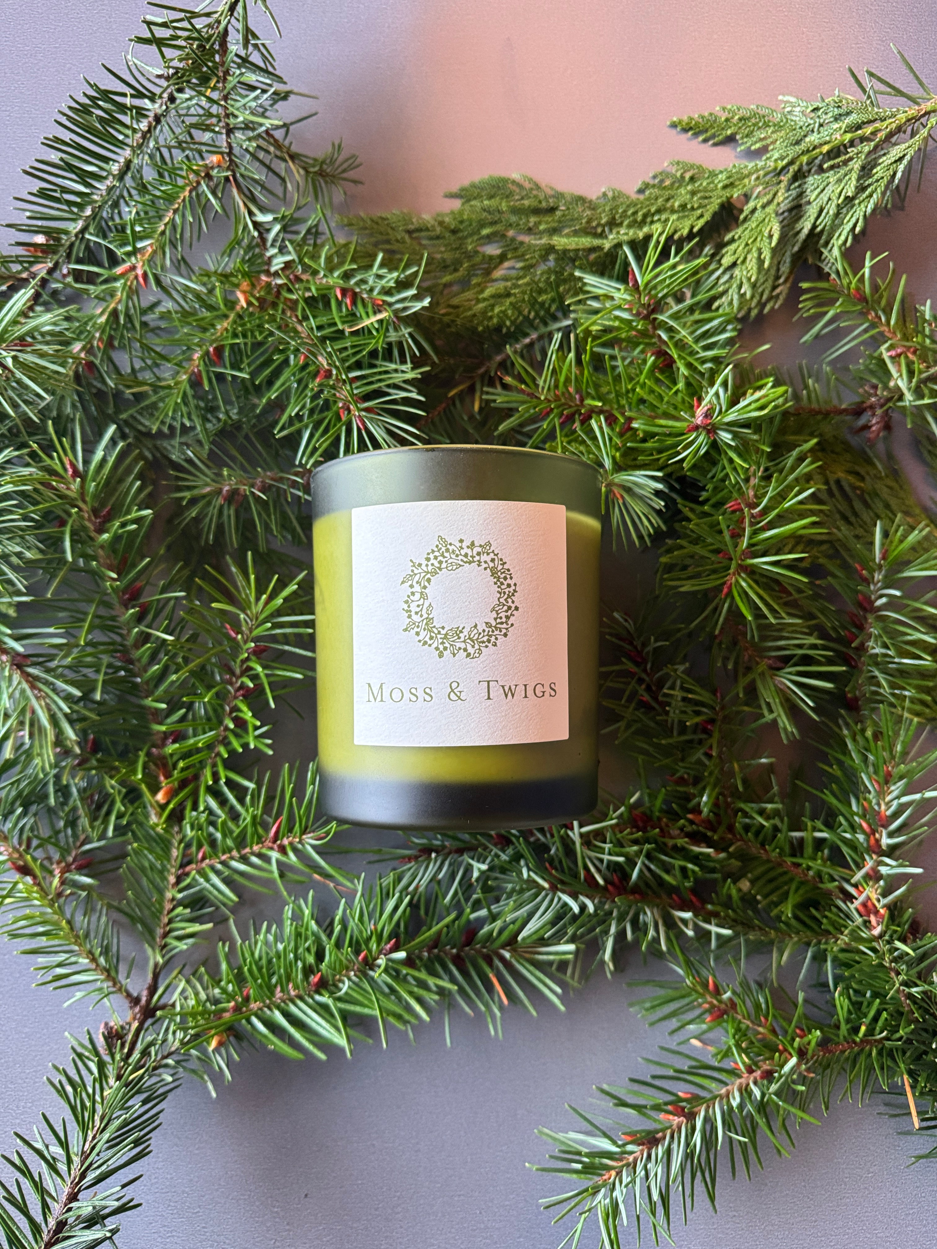 Large Candle: Fir
